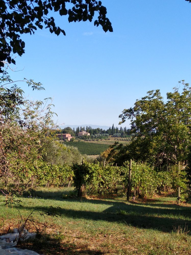 La Spiga D'Oro-官方
