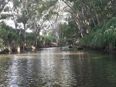 Surf N Sea-哈雷瓦必去景点
