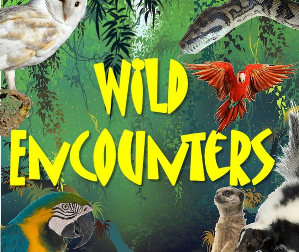 Wild Encounters Mini Zoo景点图片