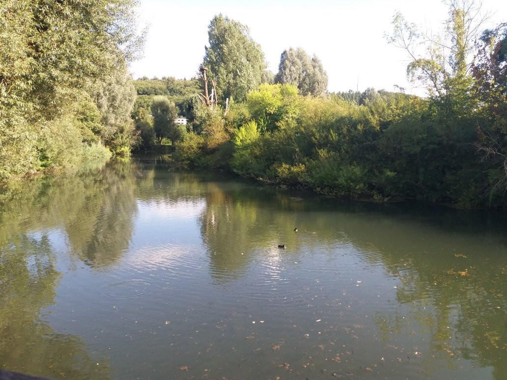 Brenzpark景点图片