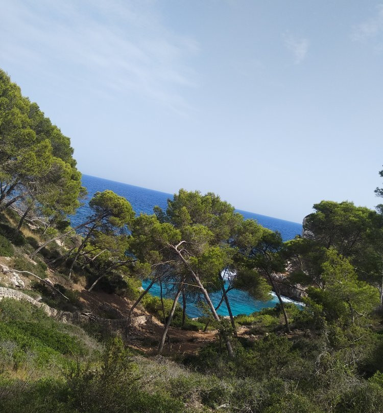 Cala s'Almunia-桑塔尼必去景点