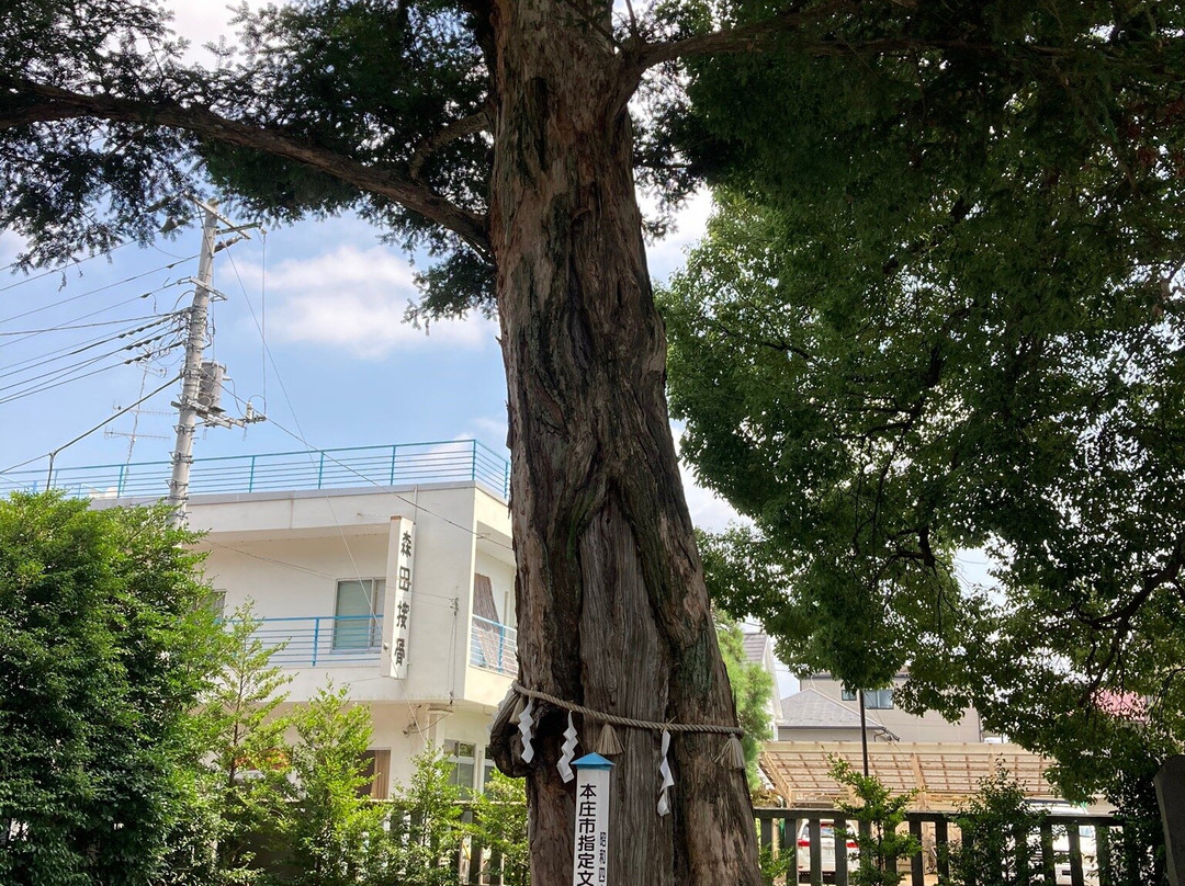 Kanasana Shrine-本庄市必去景点
