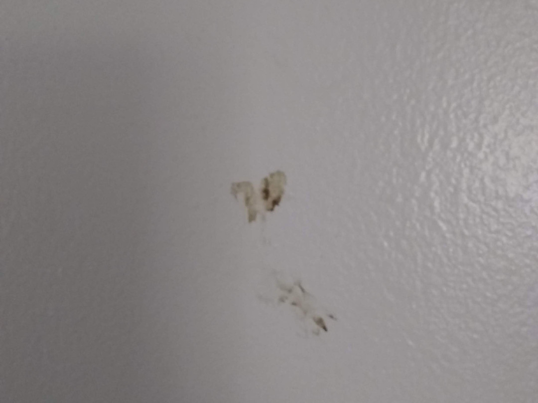 Plantation Motel主图