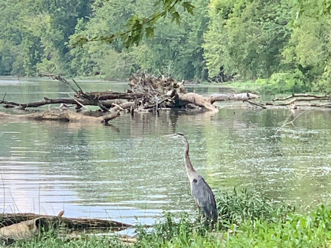 Riley's Lock-Poolesville必去景点
