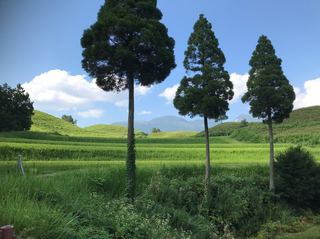 Ogi Rice Terraces景点图片