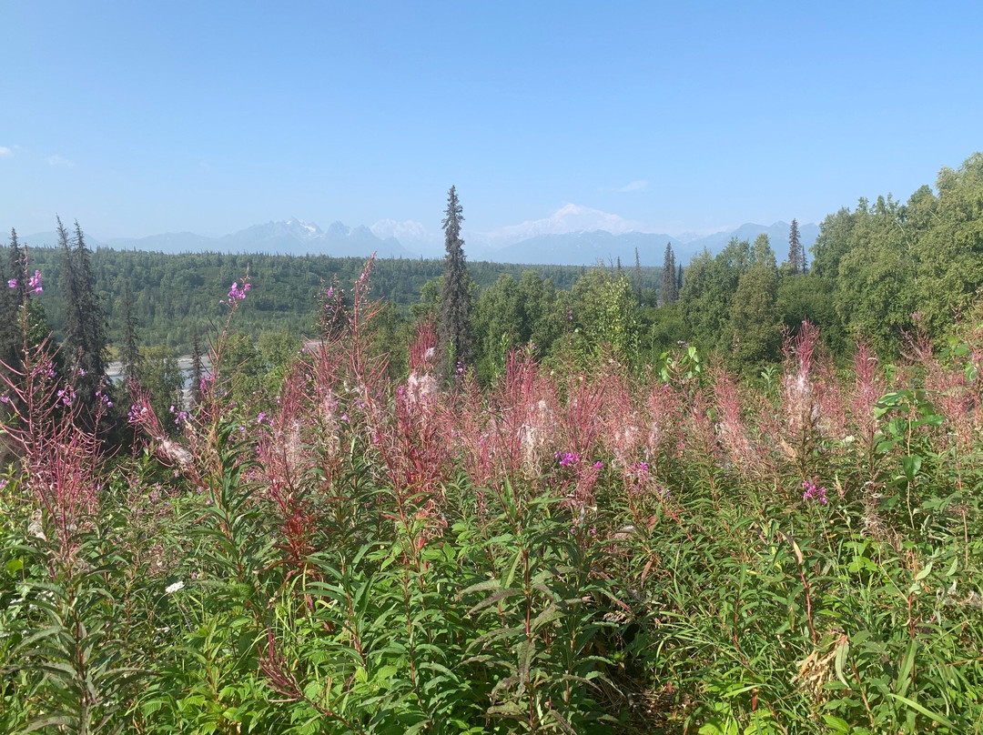 Denali View South-Trapper Creek必去景点