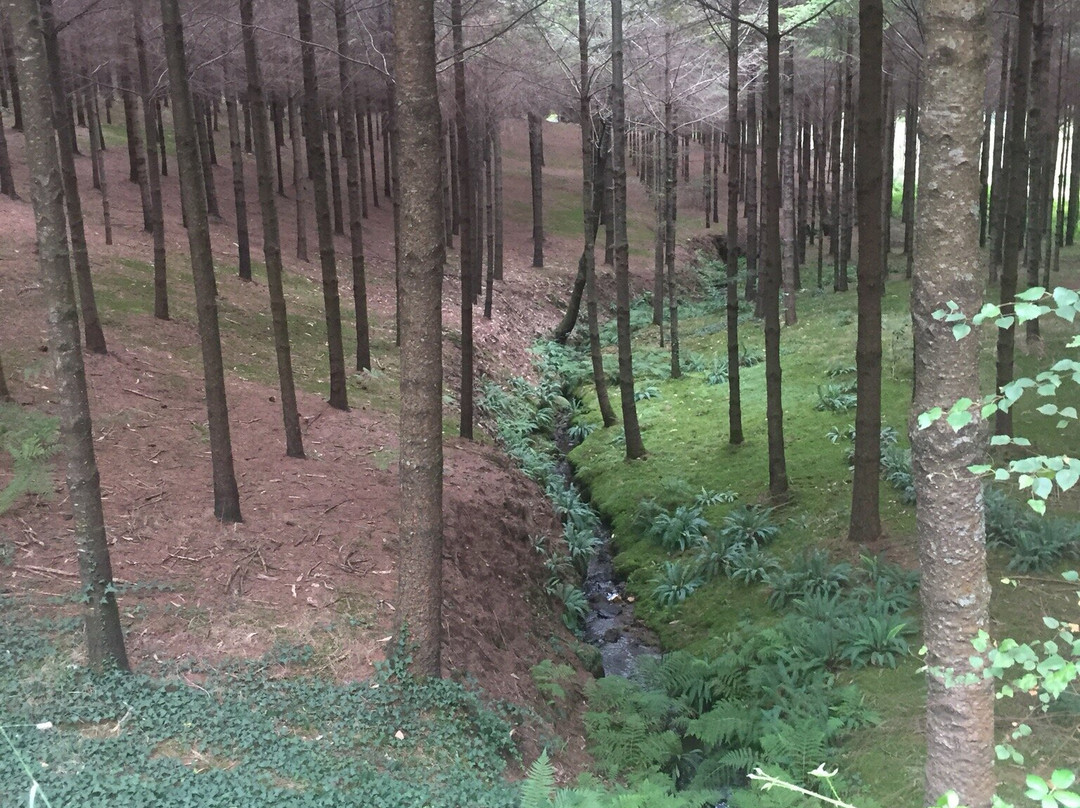 O Pazo da Briona主图