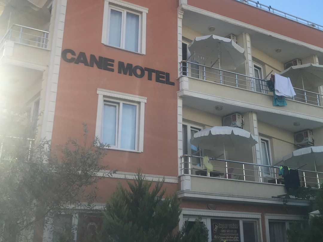 Cane Motel主图