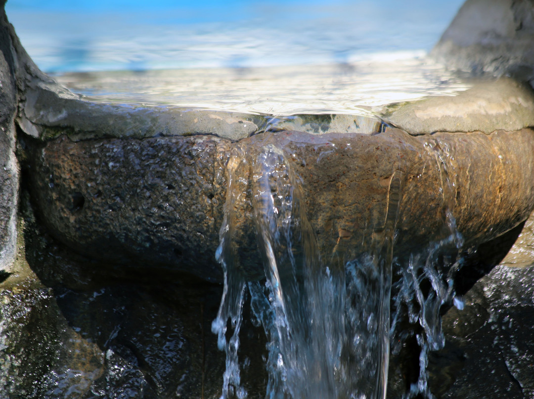 Out of Africa Resort主图