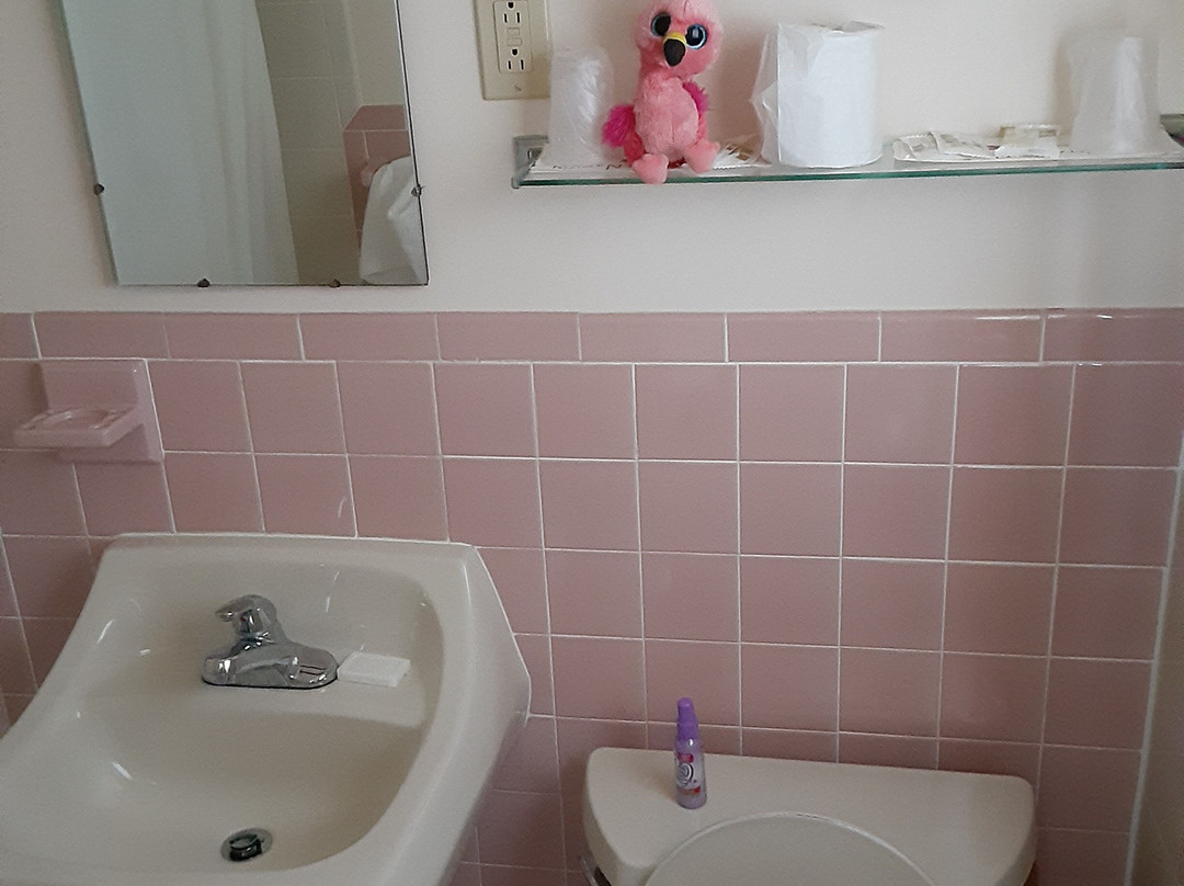 Budget Host Inn Manistique主图