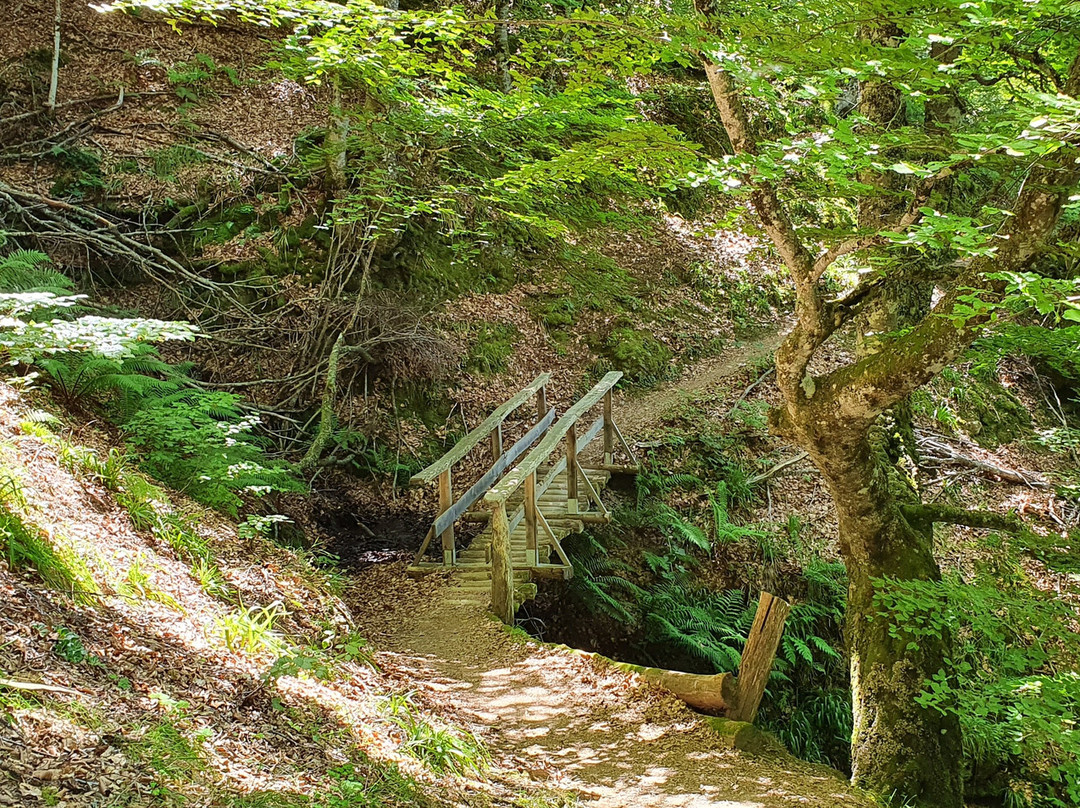 Ruta de la Cascada del Tabayon del Mongayu景点图片