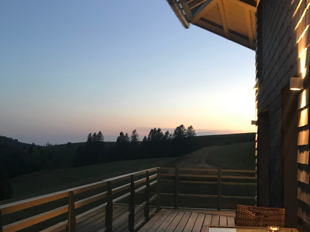 derWaldfrieden主图