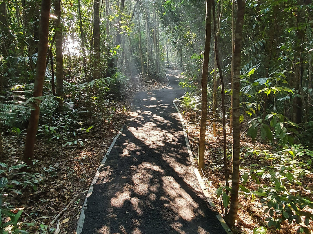 McClellands Lookout-Paluma必去景点