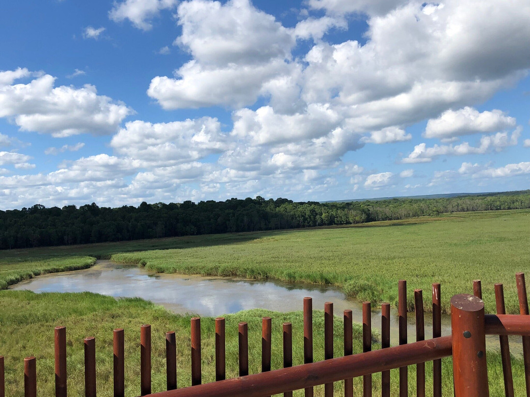 Igneada Longoz Ormanları Milli Parkı-Igneada必去景点