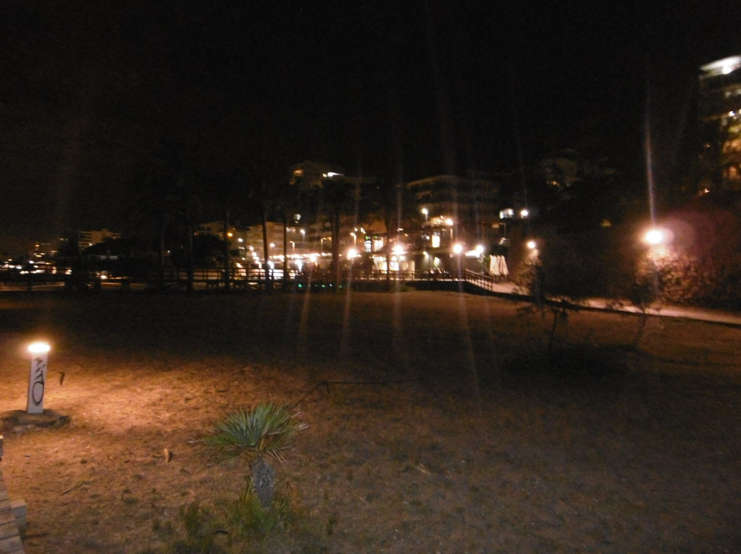 Playa Els Terrers景点图片