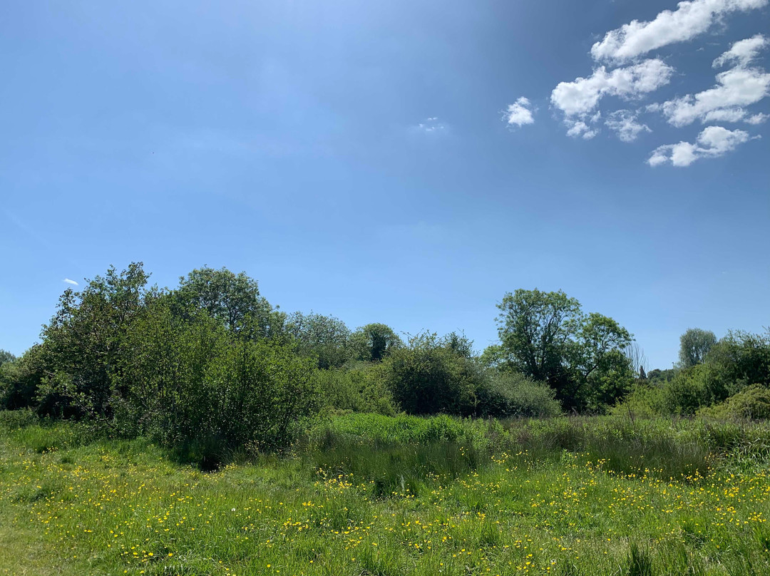 Purwell Meadows Nature Reserve.景点图片