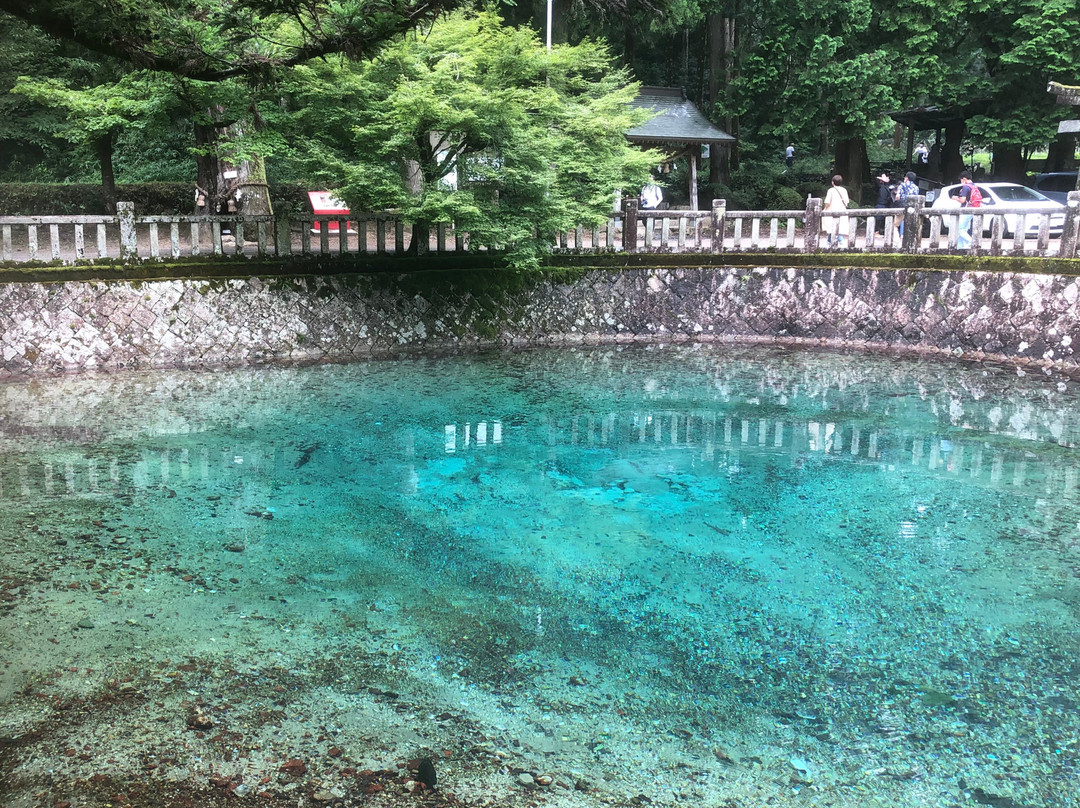 別府弁天池湧水-美祢市必去景点