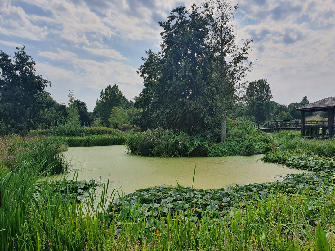 伦敦湿地公园景点图片