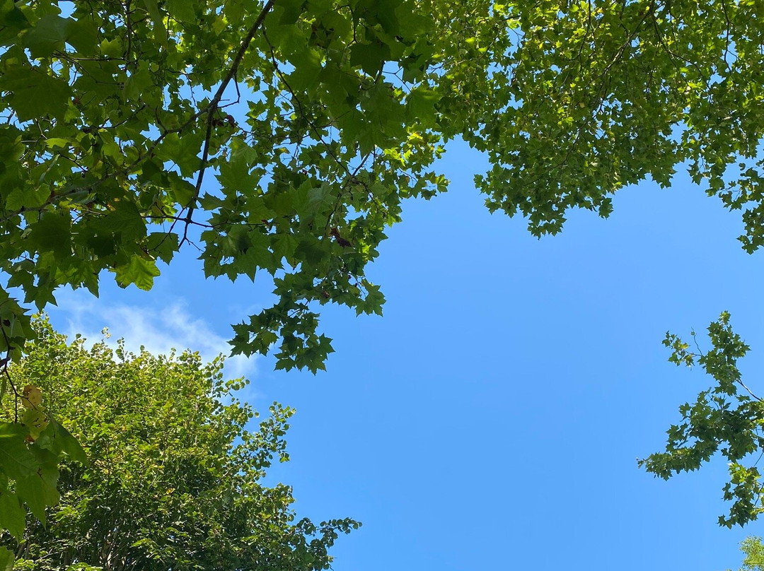 Camping Rio Puron主图