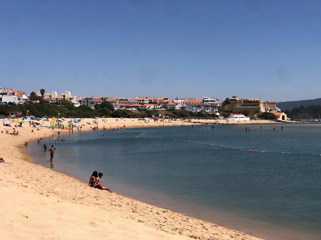 The New Laziness主图