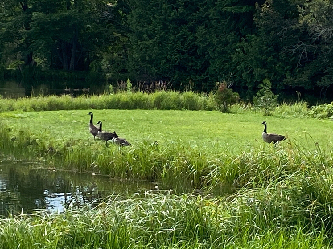 Gîte de la Maison Blanche主图
