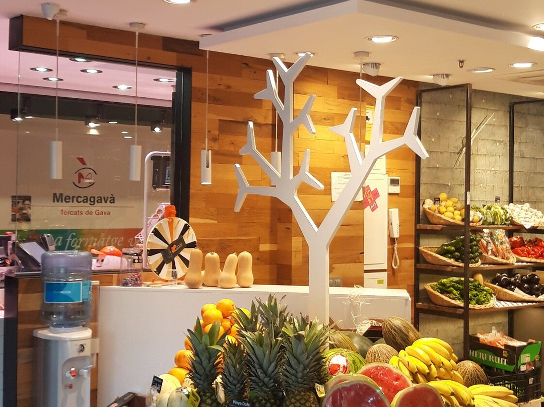 Mercagavá-加瓦必去景点