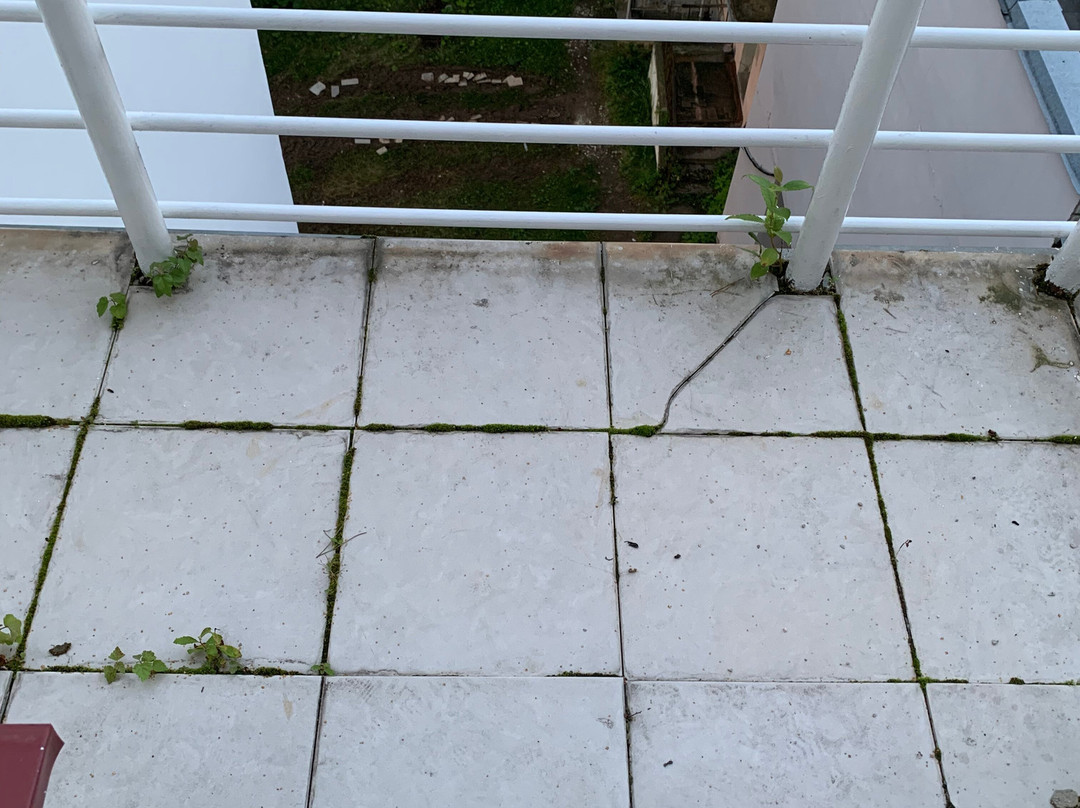 Park-Hotel Yaroslavl主图