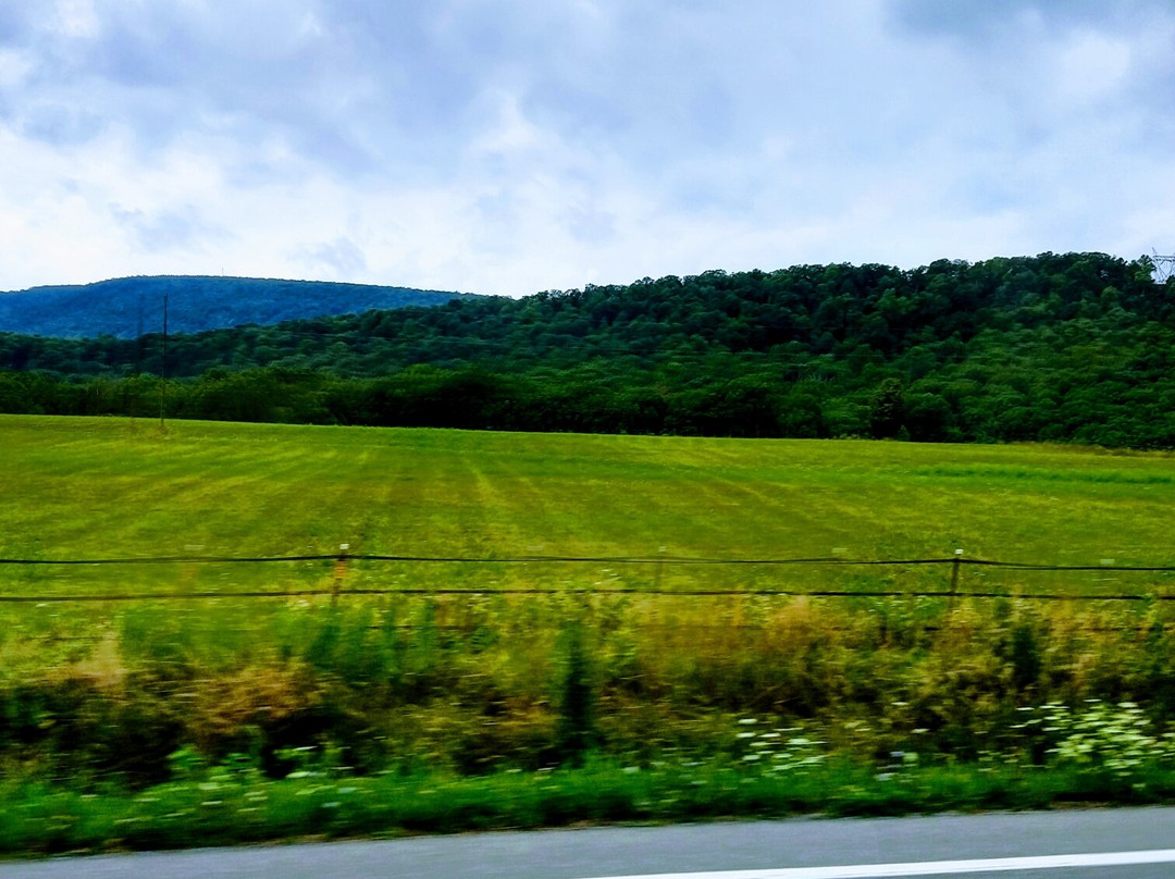 Bailey's Walking After Midnight Farm-Cross Junction必去景点