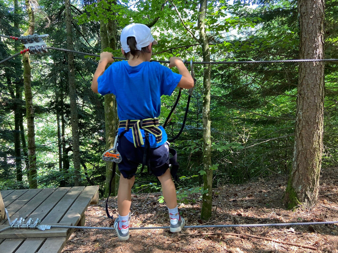 Parc Arbre Aventure-Kruth必去景点