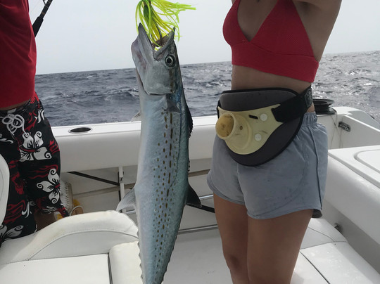 Caicos Water Fun Ltd-普罗维登西亚莱斯必去景点