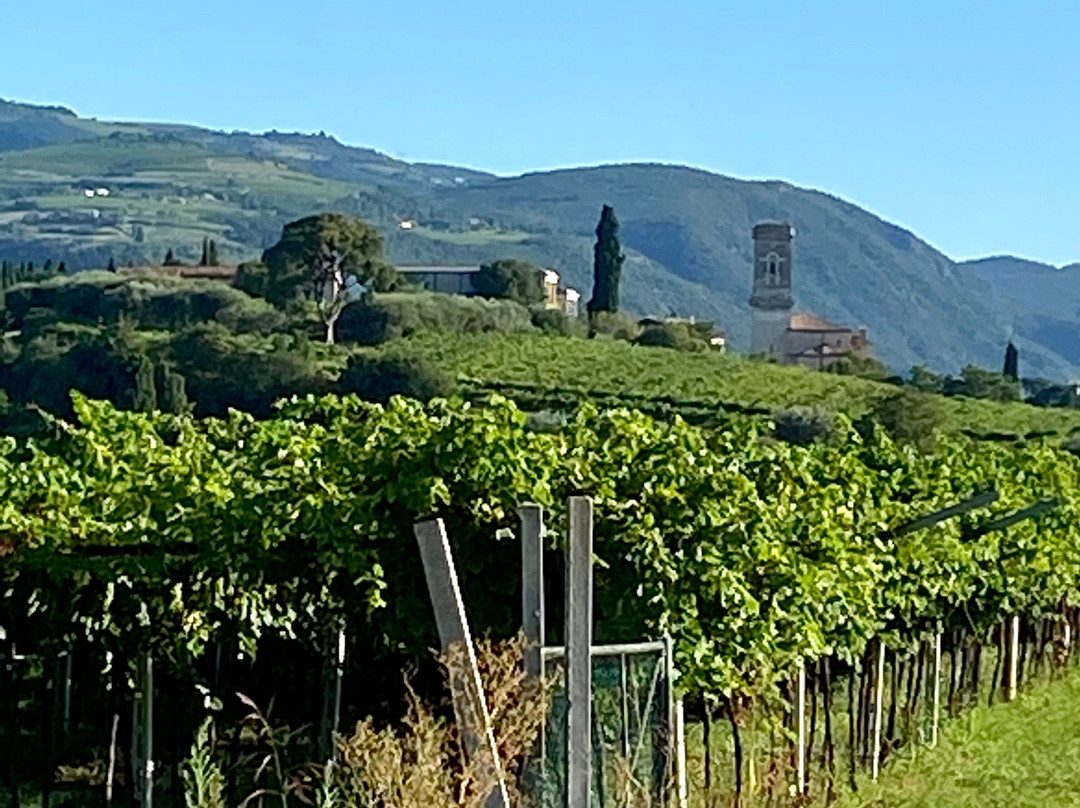 Agriturismo El Crear主图