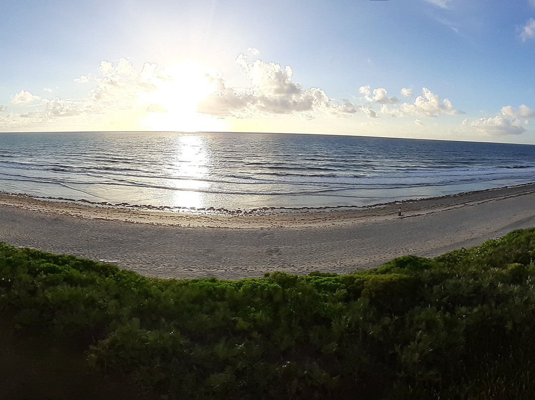 Las Olas Beach Club主图