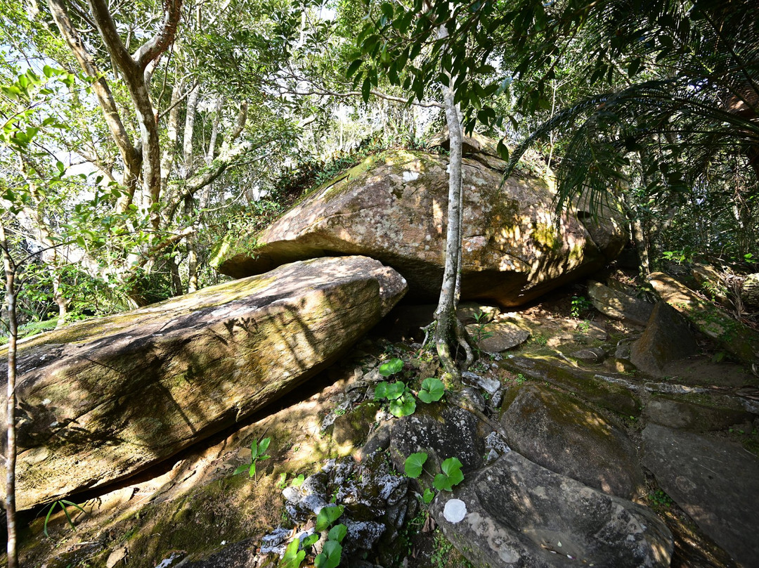 Mt. Tennyogakura景点图片