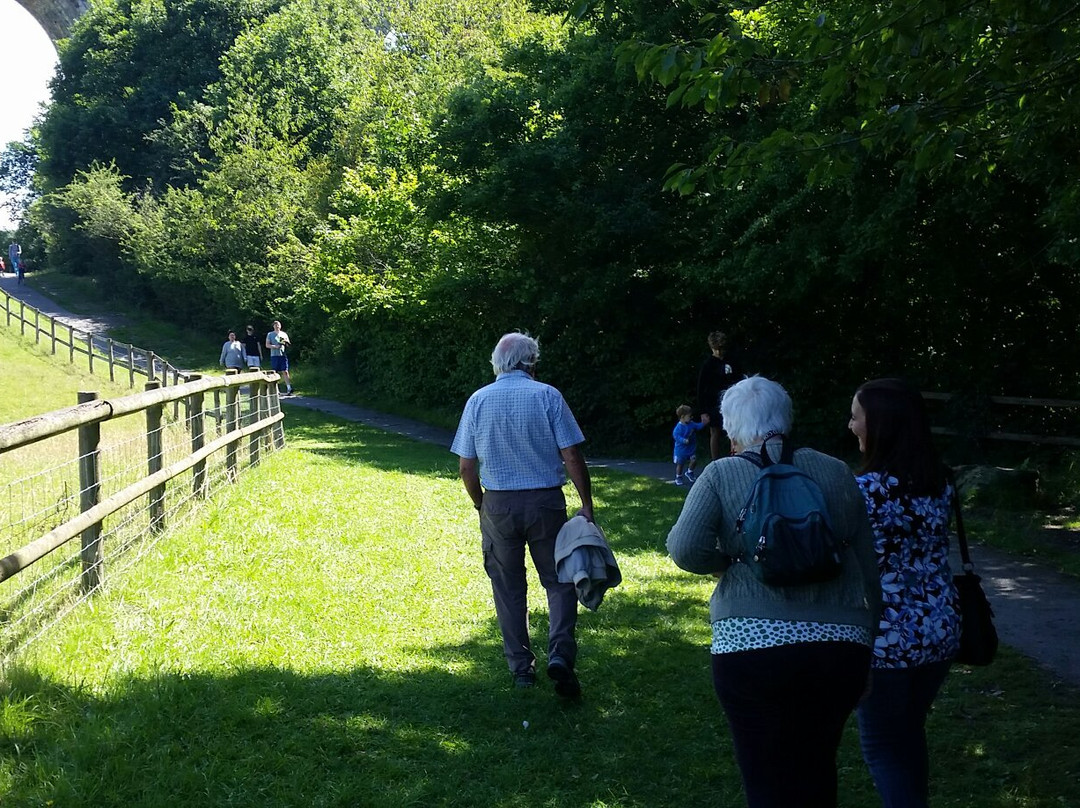 Ty Mawr Country Park景点图片