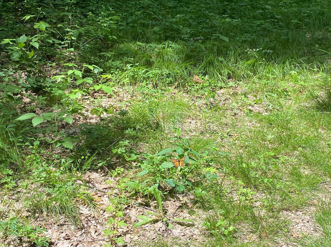 Lapham Peak-Delafield必去景点