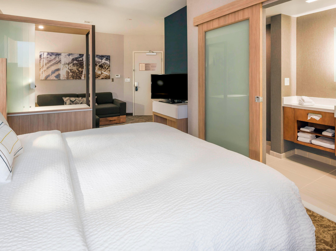 Springhill Suites by Marriott Fishkill主图