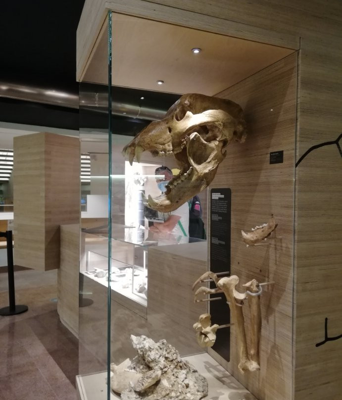 Geological Museum of the Dolomites景点图片
