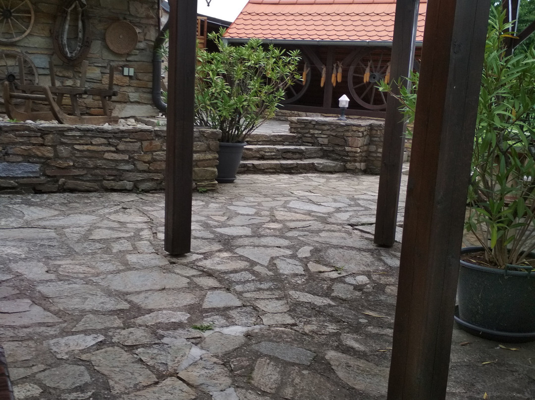 Lesna旅游攻略图片