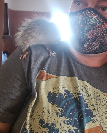 Eaton Hill Nature Center-Sonora必去景点