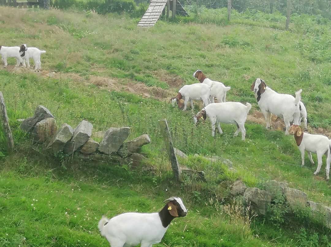 阿格罗图里斯莫马蒂奥拉酒店主图