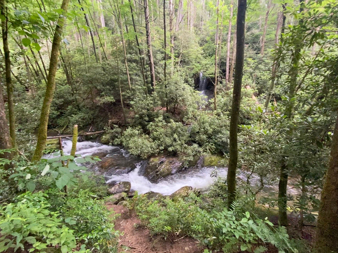 Hemlock Falls Trail景点图片