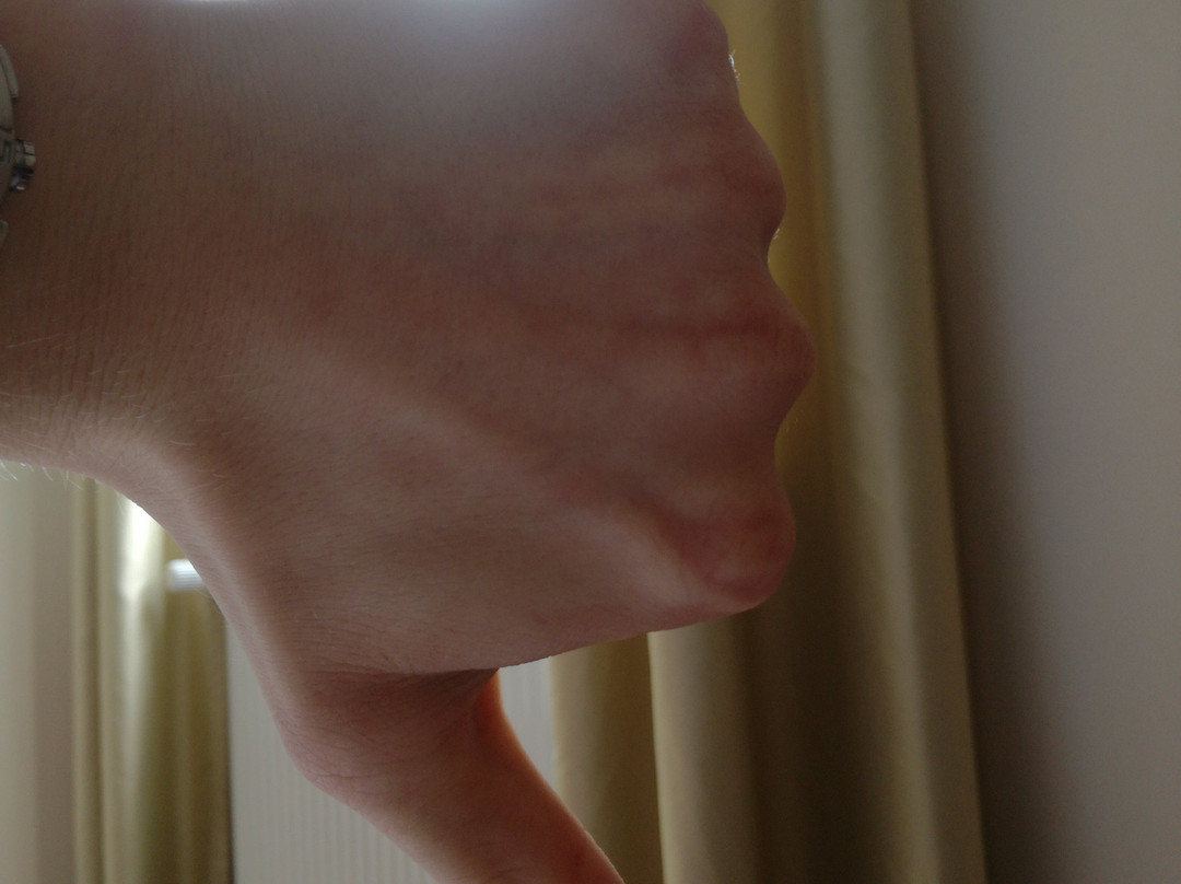 Bergwirtschaft Wilder Mann主图