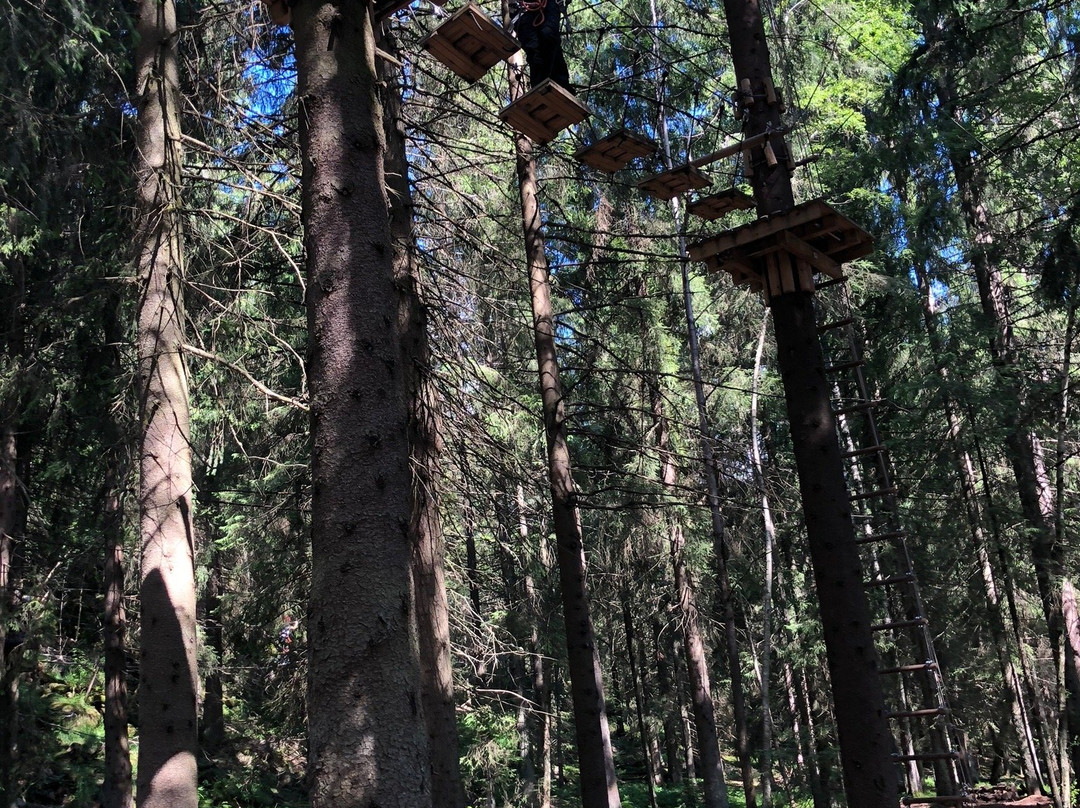 Oslo Klatrepark-奥斯陆必去景点