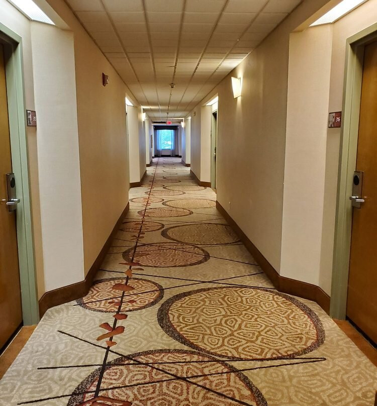 Hampton Inn Seaford主图