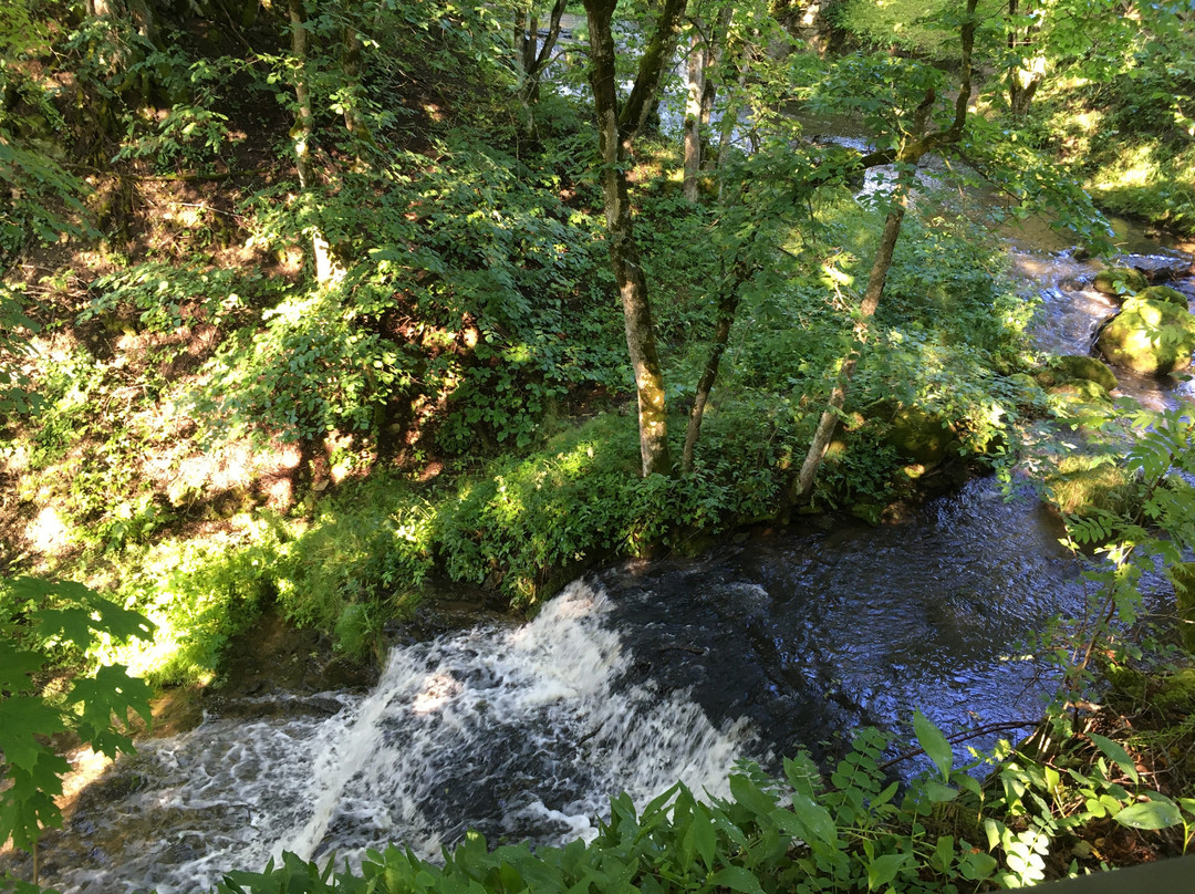 Aluoja Cascades-Toila必去景点