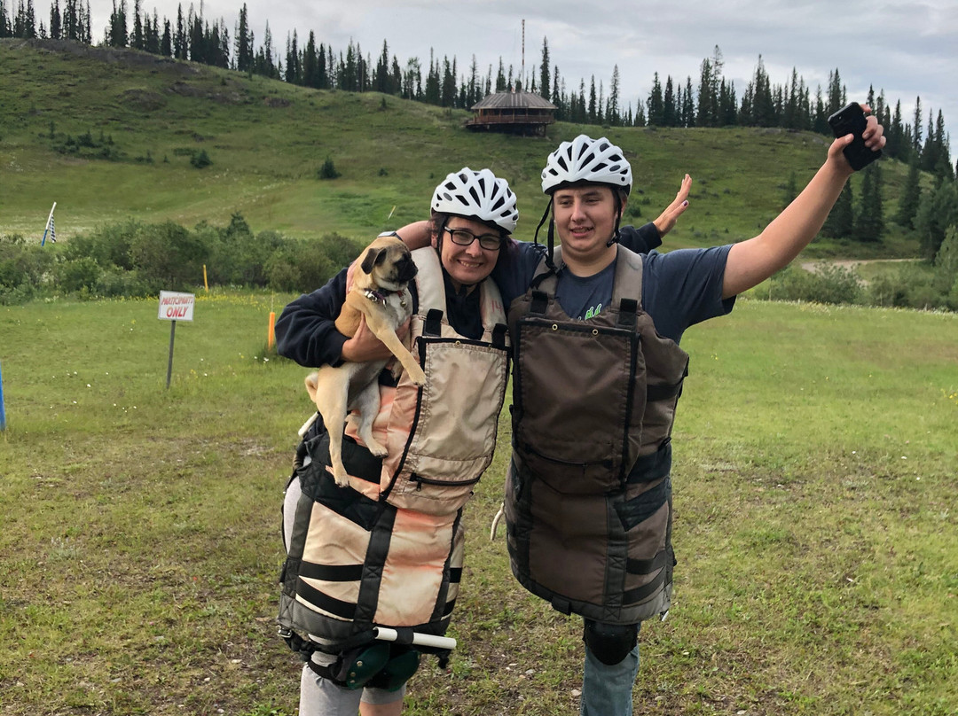 Jasper Hinton Zip Line-贾斯珀国家公园必去景点