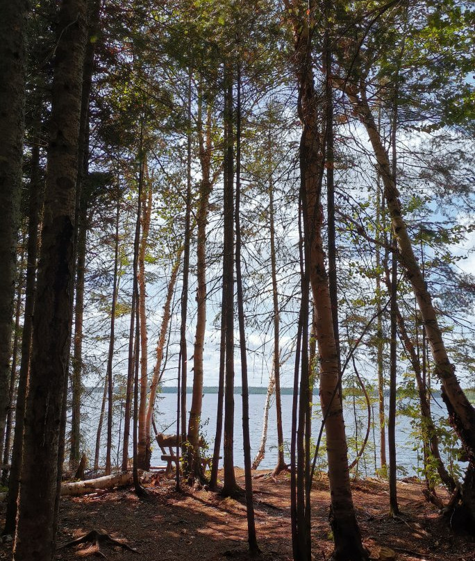 Malartic旅游景点-Kinawit