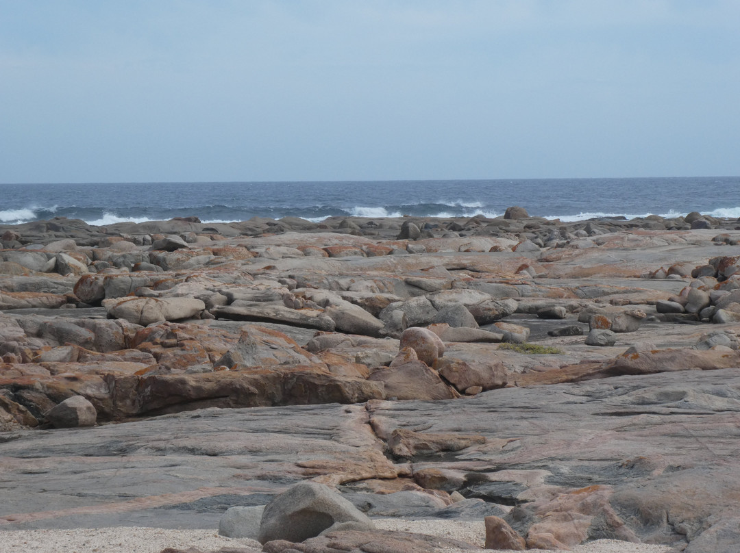 Westall Way Loop Coastal Scenic Drive-Streaky Bay必去景点