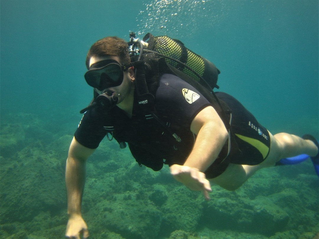 Atlantic Eco Diving-奥德杰海岸必去景点