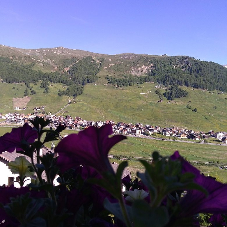 Hotel Margherita主图